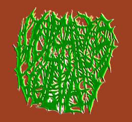 logo Vulcanus Vulvai